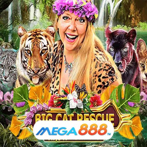 รีวิวเกม Big Cat Rescue Megaways สล็อตปรับราคาเบทได้เอง