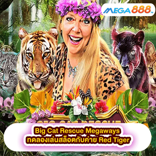 Big Cat Rescue Megaways ทดลองเล่นสล็อตกับค่าย Red Tiger