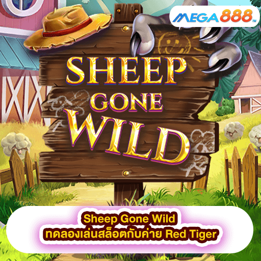 Sheep Gone Wild ทดลองเล่นสล็อตกับค่าย Red Tiger