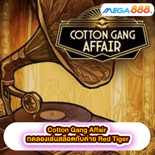 Cotton Gang Affair ทดลองเล่นสล็อตกับค่าย Red Tiger