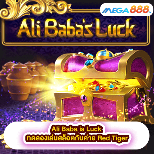Ali Baba is Luck ทดลองเล่นสล็อตกับค่าย Red Tiger