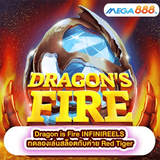 Dragon is Fire INFINIREELS ทดลองเล่นสล็อตกับค่าย Red Tiger