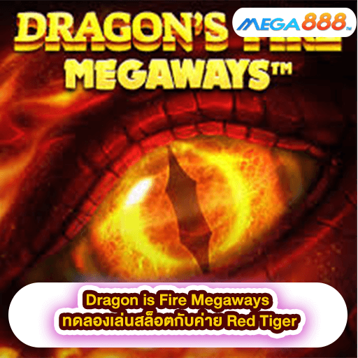 Dragon is Fire Megaways ทดลองเล่นสล็อตกับค่าย Red Tiger
