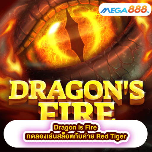Dragon is Fire ทดลองเล่นสล็อตกับค่าย Red Tiger